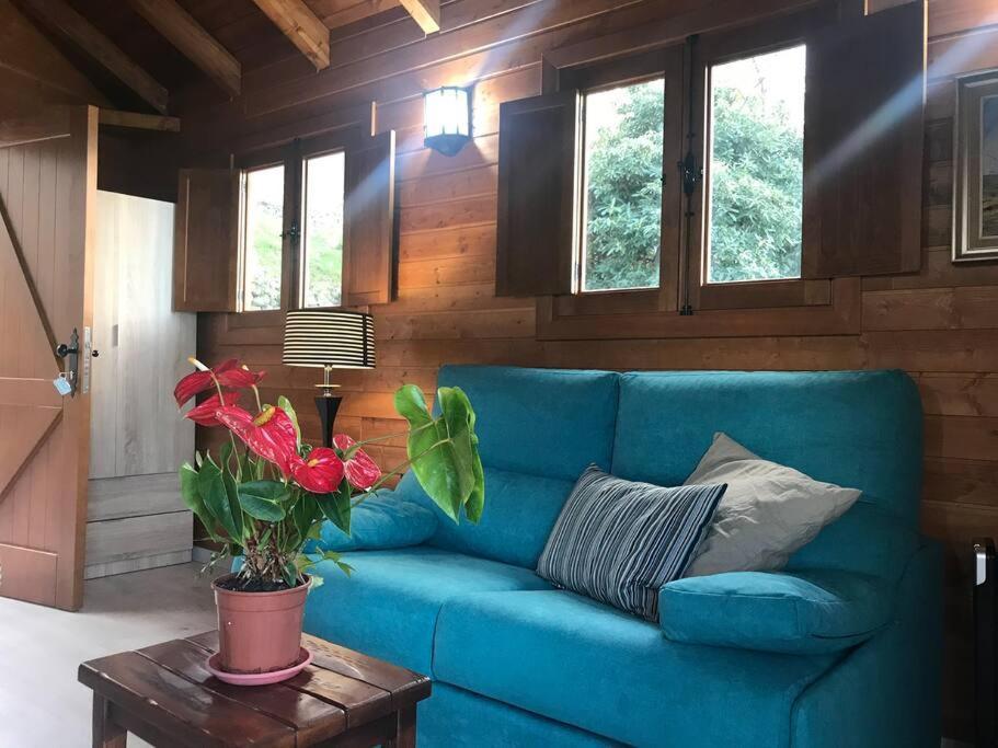 Cozy Mountain Chalet La Orotava Eksteriør billede